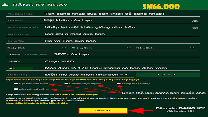 Một vài chú ý khi thực hiện đăng ký Sm66